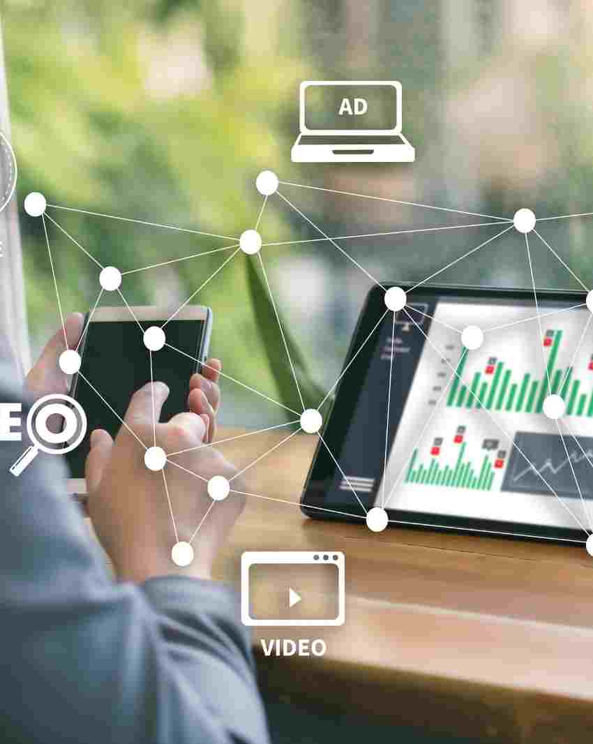 dmlsp online website ranking support near me